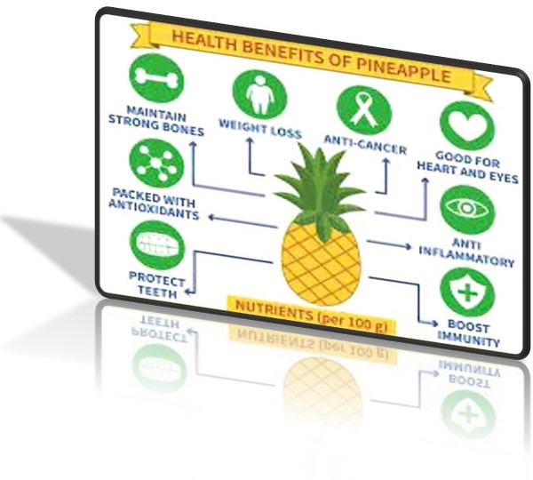 a image with infographic of the pine apple showing the information bt=y dividing its sections